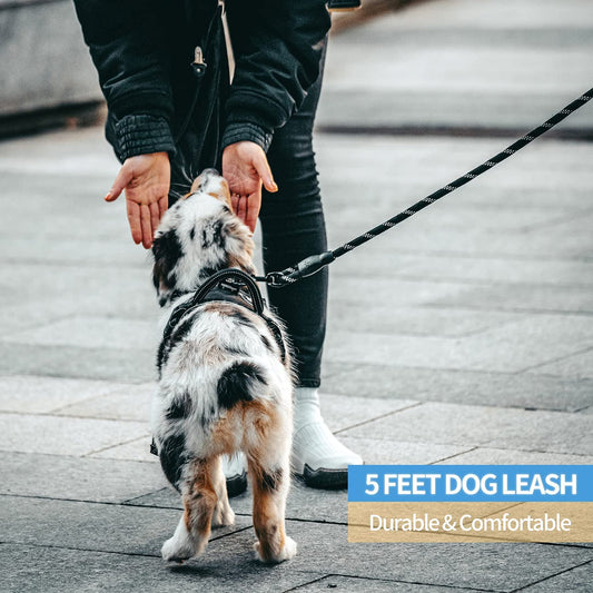 Pawbibi™-Easy Grip Ergonomic Leash