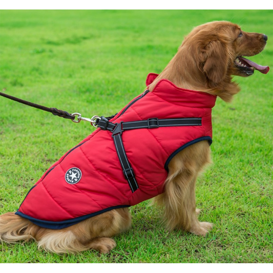 Pawbibi™ - Waterproof Jacket Harness-Red
