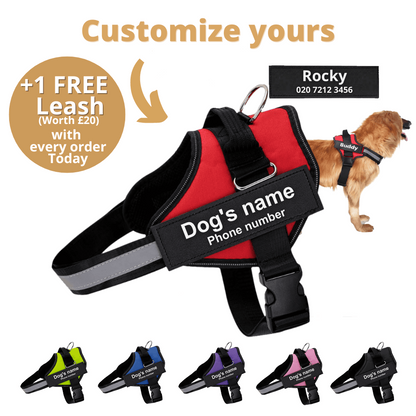 Pawbibi™ Ultimate Personalized No Pull Dog Harness