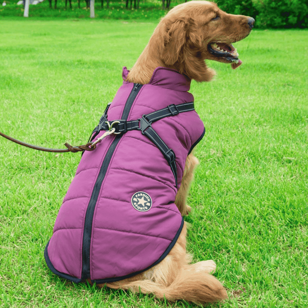 Pawbibi™ - Waterproof Winter Jacket with Built-in Harness