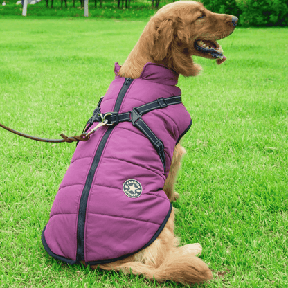 Pawbibi™ - Waterproof Winter Jacket with Built-in Harness