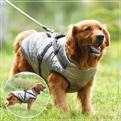 Pawbibi™ - Waterproof Winter Jacket with Built-in Harness