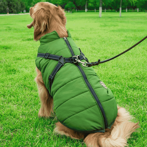 Pawbibi™ - Waterproof Winter Jacket with Built-in Harness
