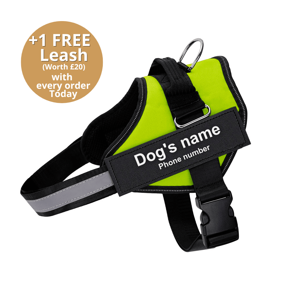 Pawbibi™ Ultimate Personalized No Pull Dog Harness