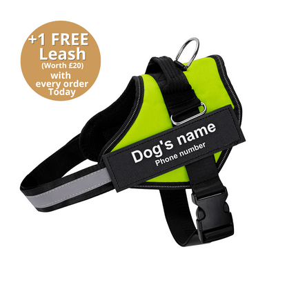 Pawbibi™ Ultimate Personalized No Pull Dog Harness