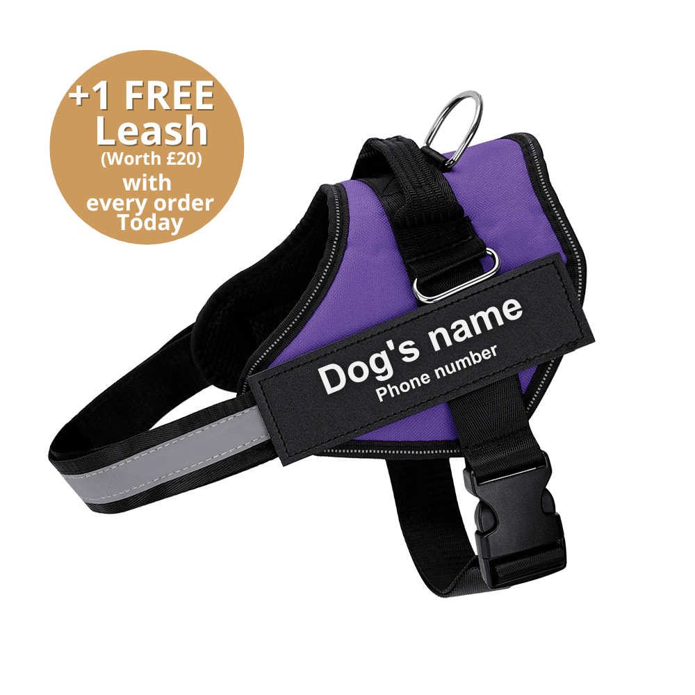Pawbibi™ Ultimate Personalized No Pull Dog Harness