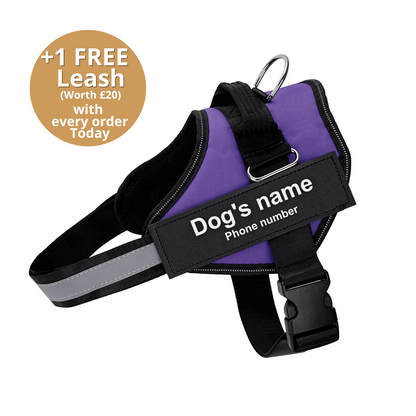 Pawbibi™ Ultimate Personalized No Pull Dog Harness