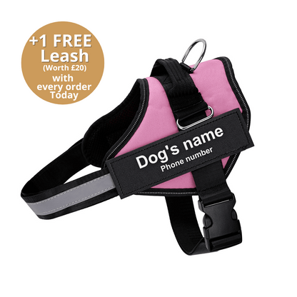 Pawbibi™ Ultimate Personalized No Pull Dog Harness