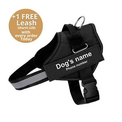 Pawbibi™ Ultimate Personalized No Pull Dog Harness