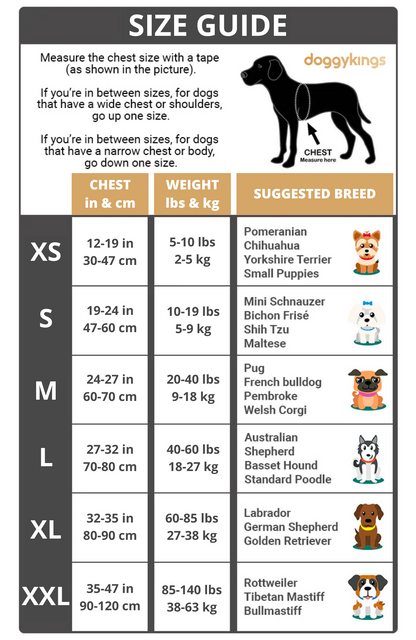 Pawbibi™ Ultimate Personalized No Pull Dog Harness