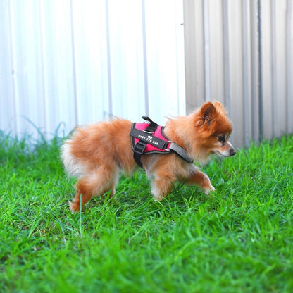 Pawbibi™ Ultimate Personalized No Pull Dog Harness