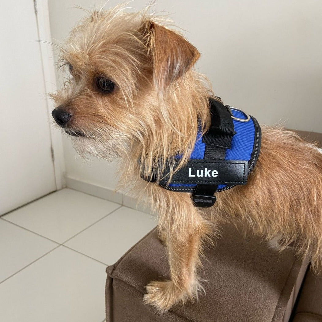 Pawbibi™ Ultimate Personalized No Pull Dog Harness