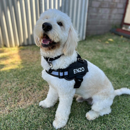 Pawbibi™ Ultimate Personalized No Pull Dog Harness
