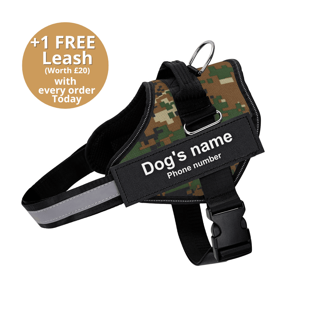 Pawbibi™ Ultimate Personalized No Pull Dog Harness