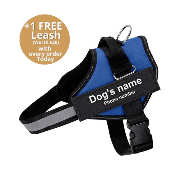 Pawbibi™ Ultimate Personalized No Pull Dog Harness