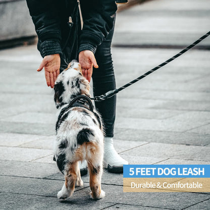Pawbibi™-Easy Grip Ergonomic Leash