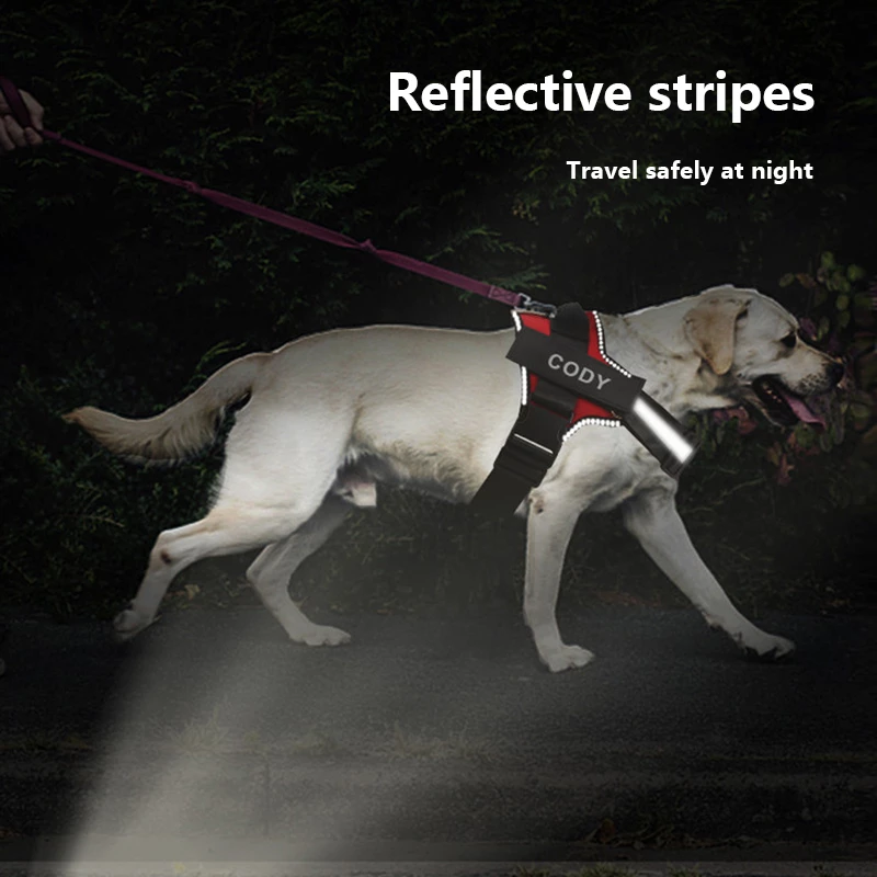 Pawbibi™ Ultimate Personalized No Pull Dog Harness