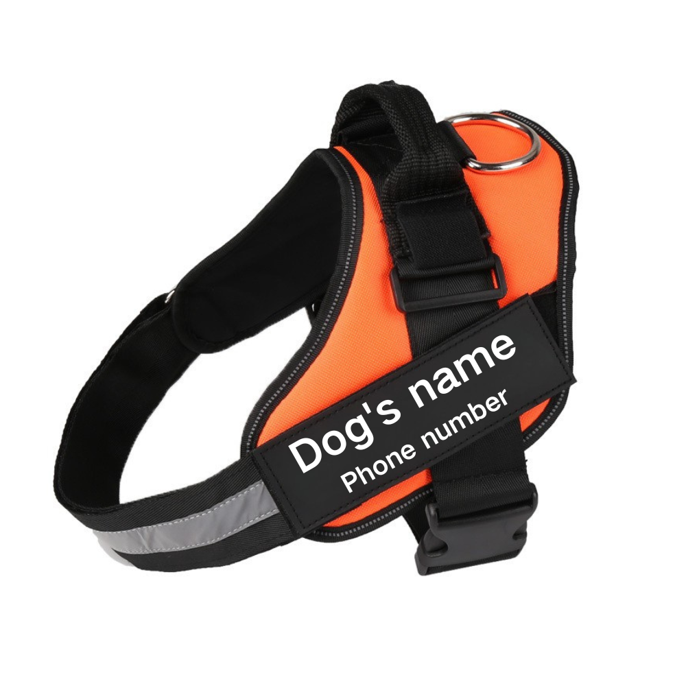 Pawbibi™ Ultimate Personalized No Pull Dog Harness