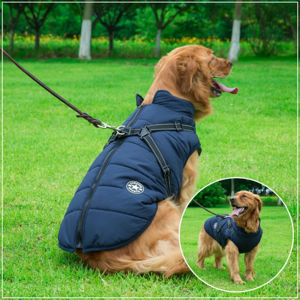 Pawbibi™ - Waterproof Jacket Harness-Purple