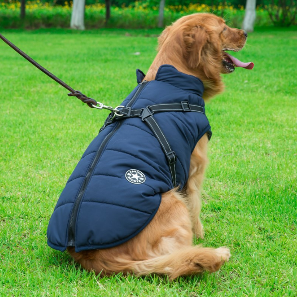 Pawbibi™ - Waterproof Jacket Harness-Green