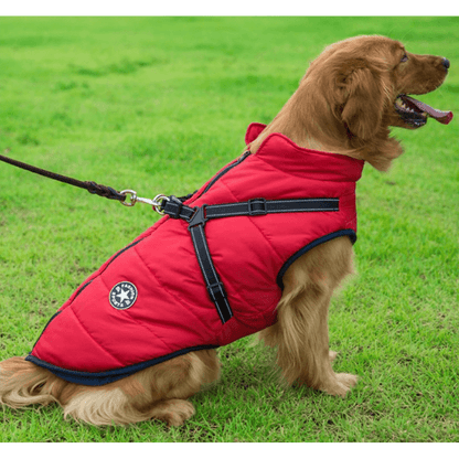 Pawbibi™ - Waterproof Winter Jacket with Built-in Harness