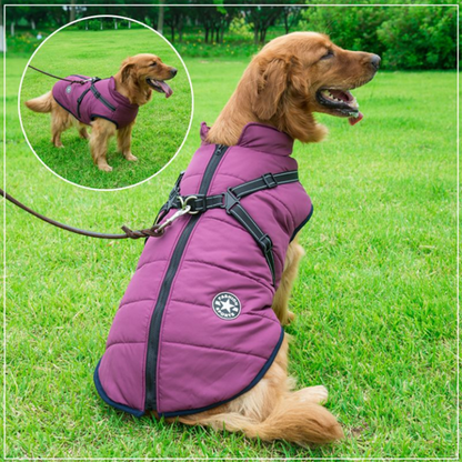 Pawbibi™ - Waterproof Jacket Harness-Red
