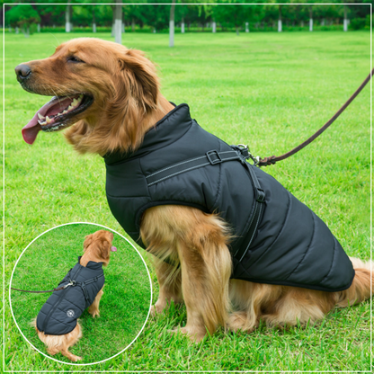 Pawbibi™ - Waterproof Jacket Harness-Black