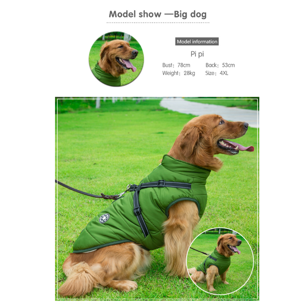 Pawbibi™ - Waterproof Jacket Harness-Green