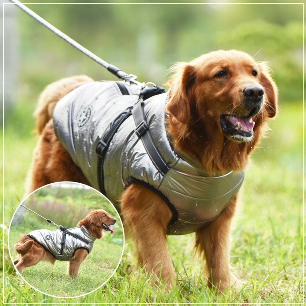 Pawbibi™ - Waterproof Jacket Harness - Blue